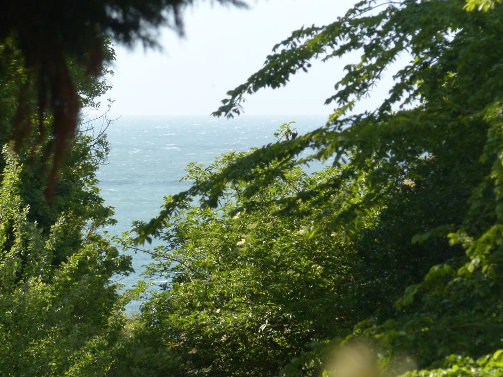 La Flore De Lys, Cottage Ideal Pour 2 Adultes Et 2 Enfants Saint-Jouin-Bruneval Δωμάτιο φωτογραφία