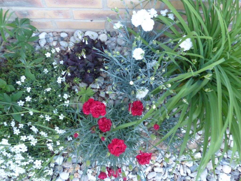 La Flore De Lys, Cottage Ideal Pour 2 Adultes Et 2 Enfants Saint-Jouin-Bruneval Δωμάτιο φωτογραφία